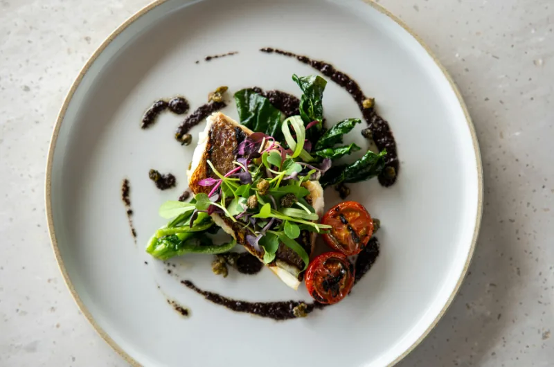 Assiette gastronomique dressée avec micro-pousses, légumes grillés et sauce, illustrant la cuisine précise d'un micro-restaurant.